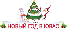 Новый год в ЮВАО